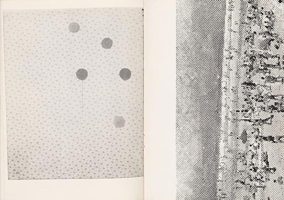 Sigmar Polke - 