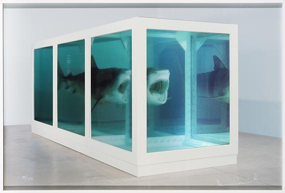 Damien Hirst - Gerahmt