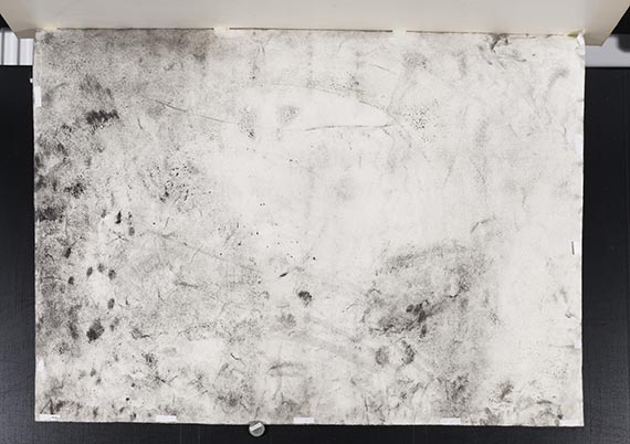 Miriam Cahn - Rueckseite