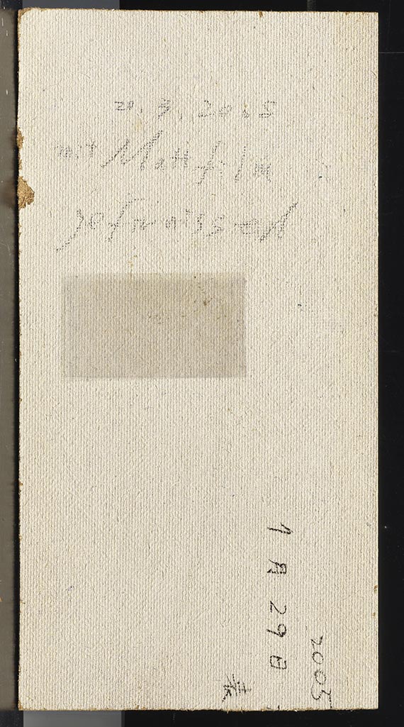 Shinji Himeno - Rueckseite